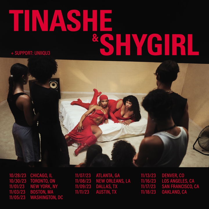 Tinashe and Shygirl Tour poster