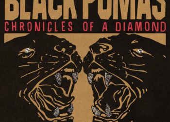 Black Pumas Chronicles of a Diamond album cover